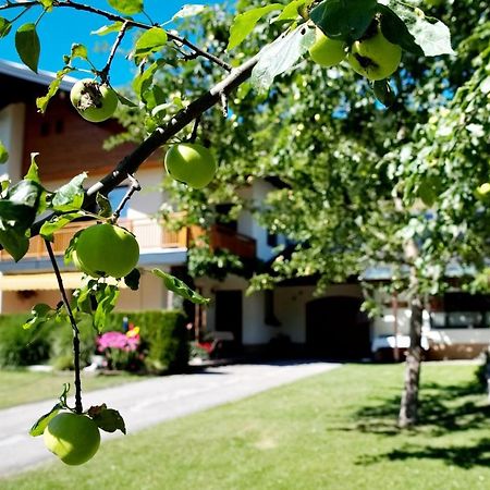 Haus Obermoser Dellach im Drautal Esterno foto