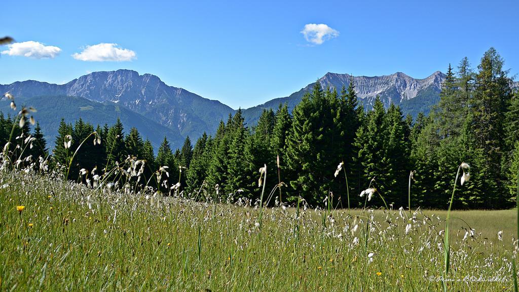 Haus Obermoser Dellach im Drautal Esterno foto