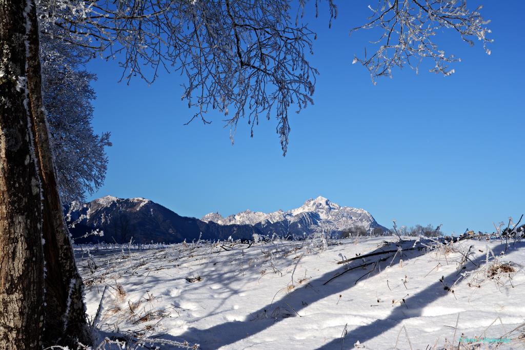 Haus Obermoser Dellach im Drautal Esterno foto